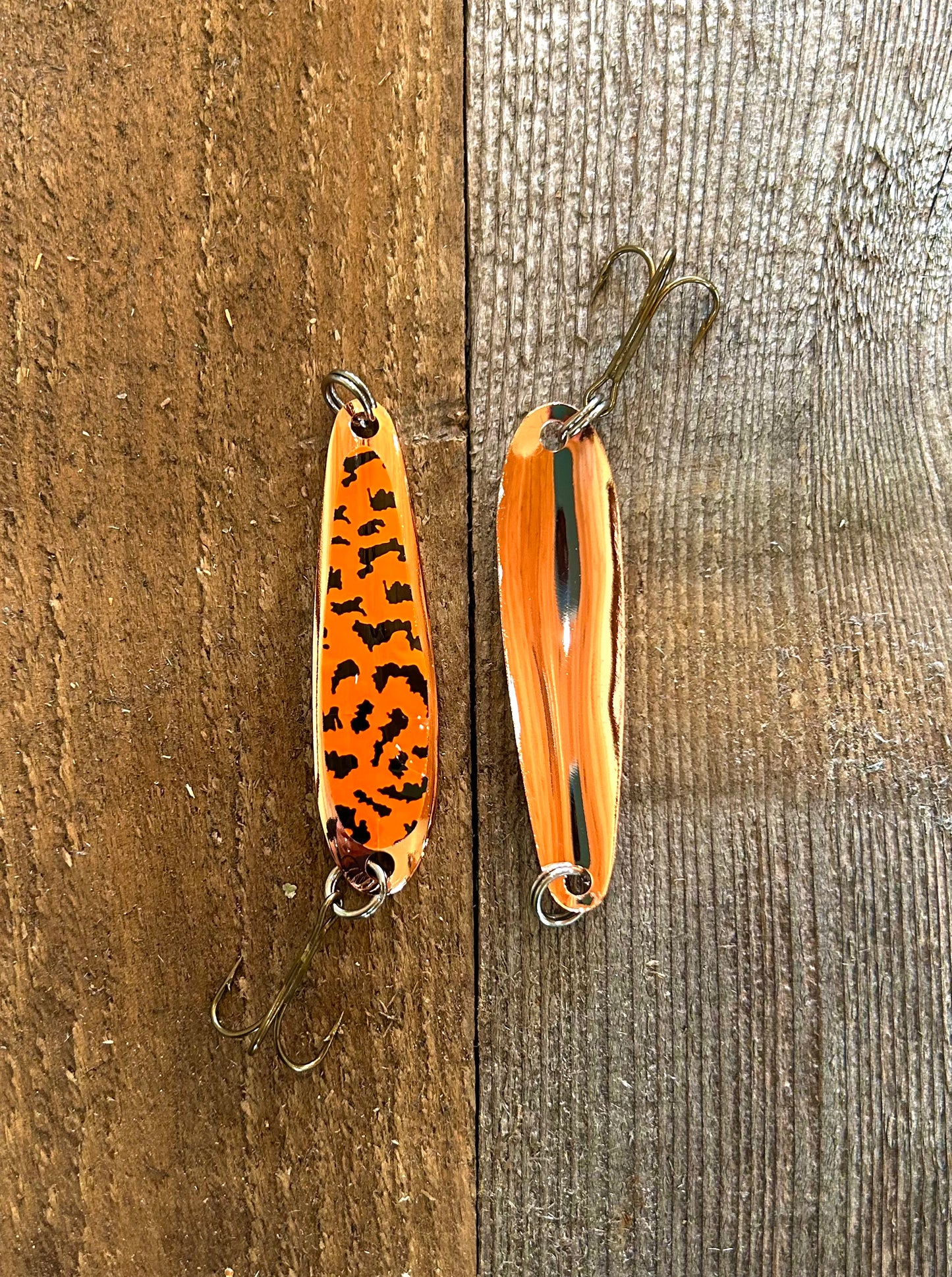 Tiger Trout