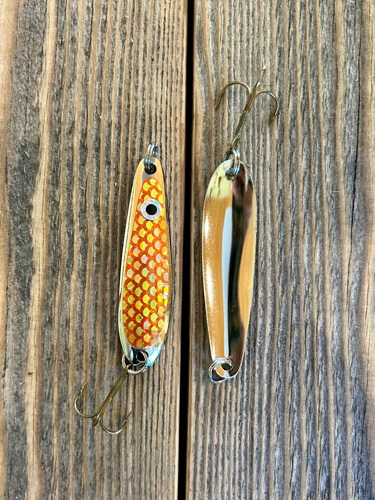 Golden Shiner